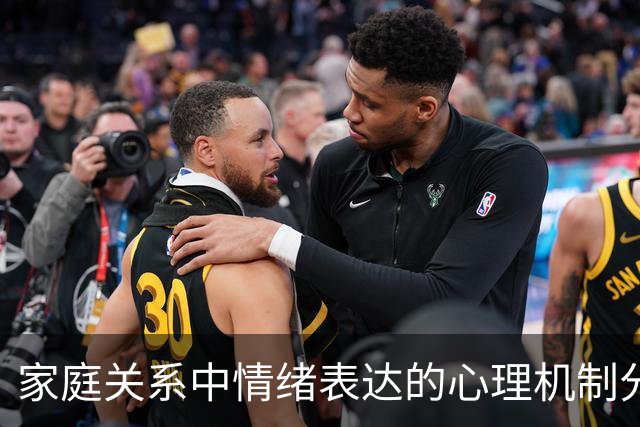 家庭关系中情绪表达的心理机制分析